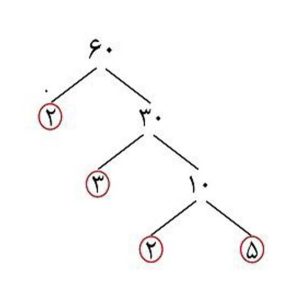 تجزیه اعداد به عوامل اول همراه با 2 مثال – مریم عبدالخانی